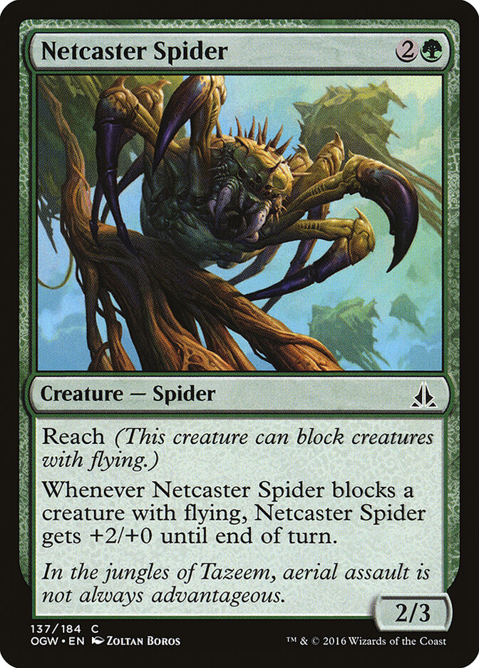 Netcaster Spider card front