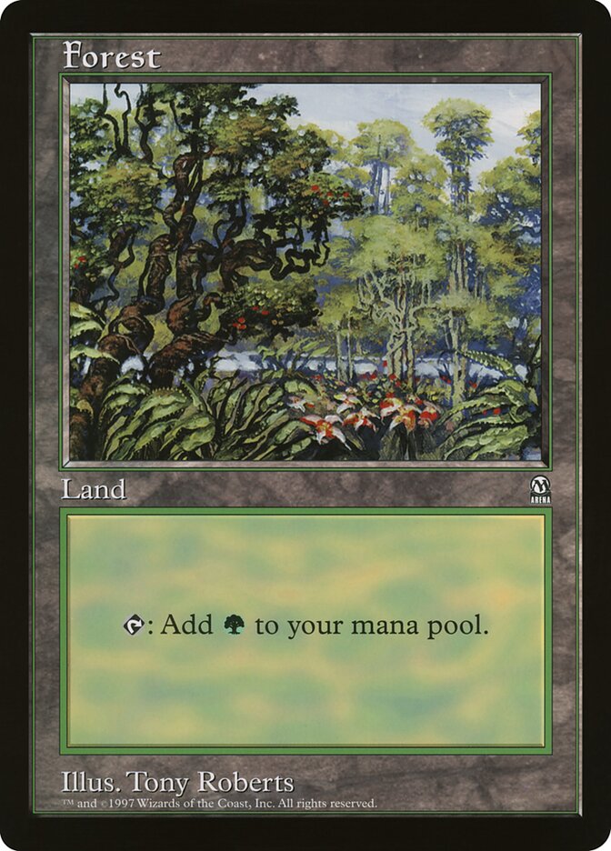 Forest card front