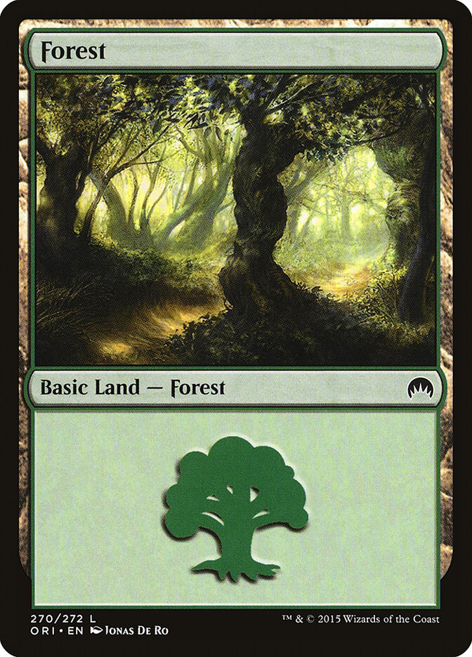 Forest card front