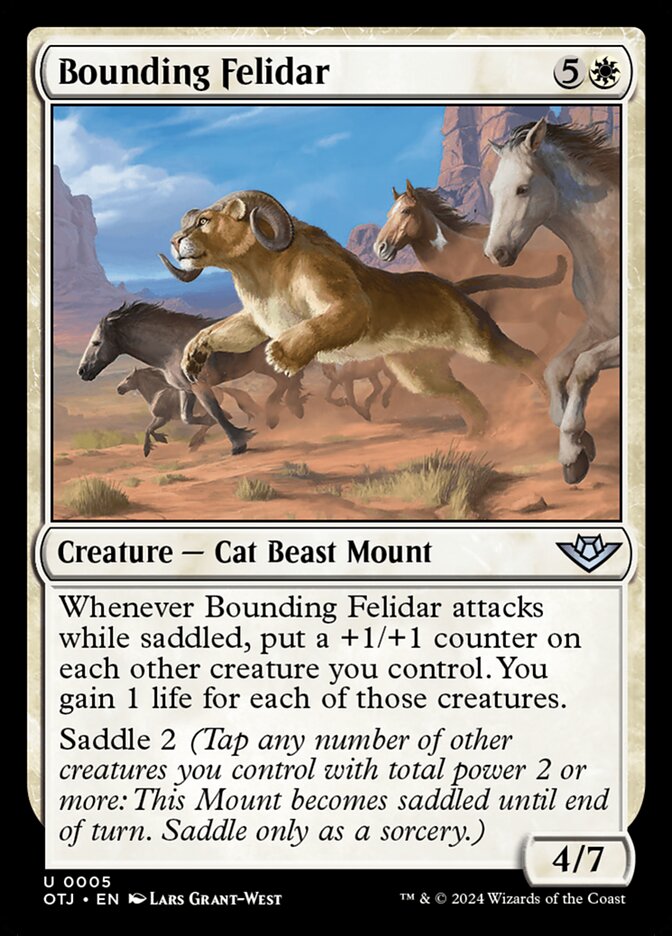 Bounding Felidar card front