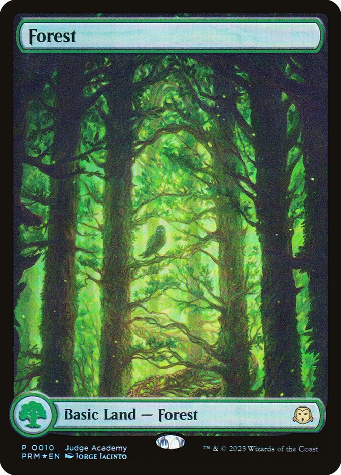 Forest card front