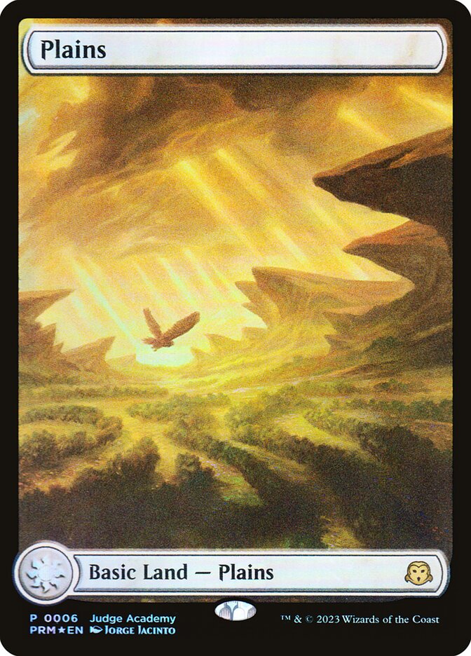 Plains card front