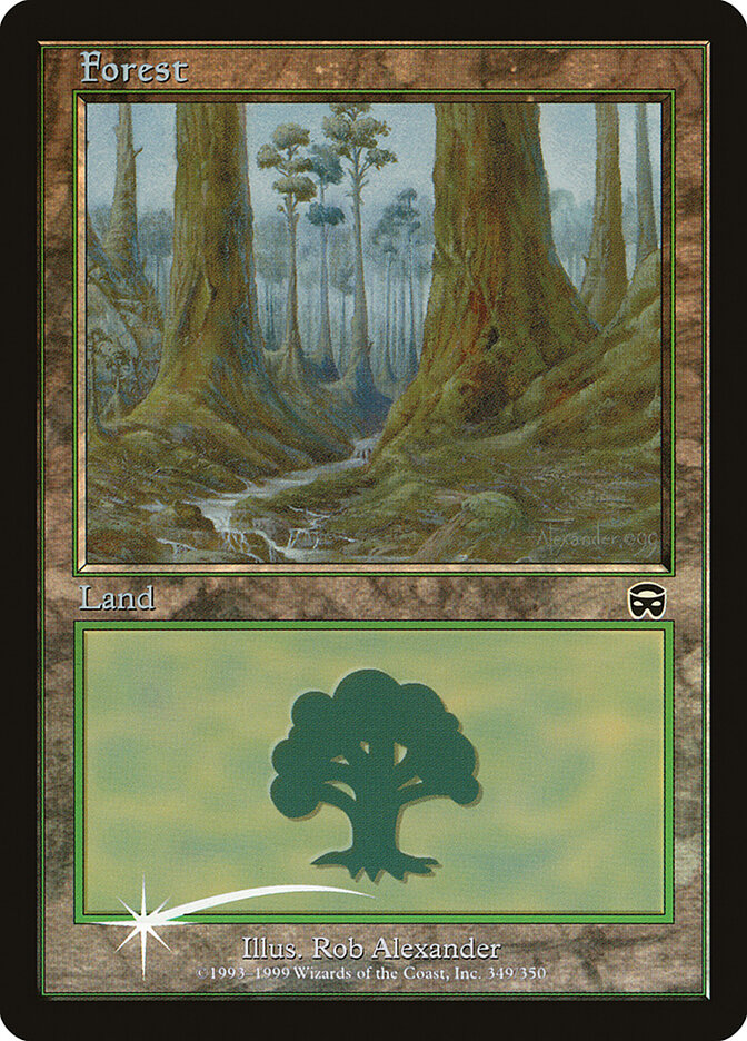 Forest card front