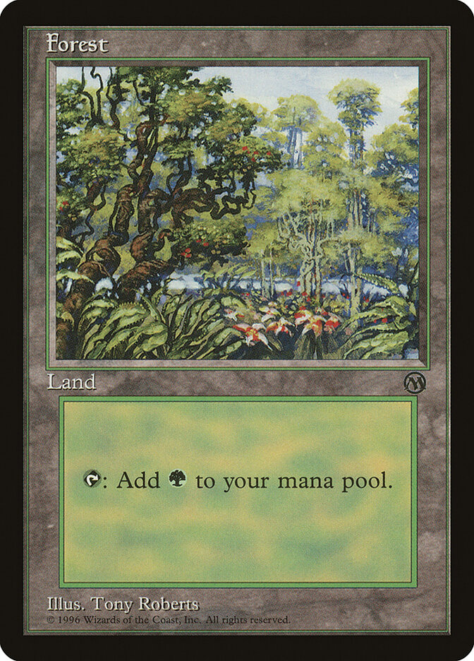 Forest card front