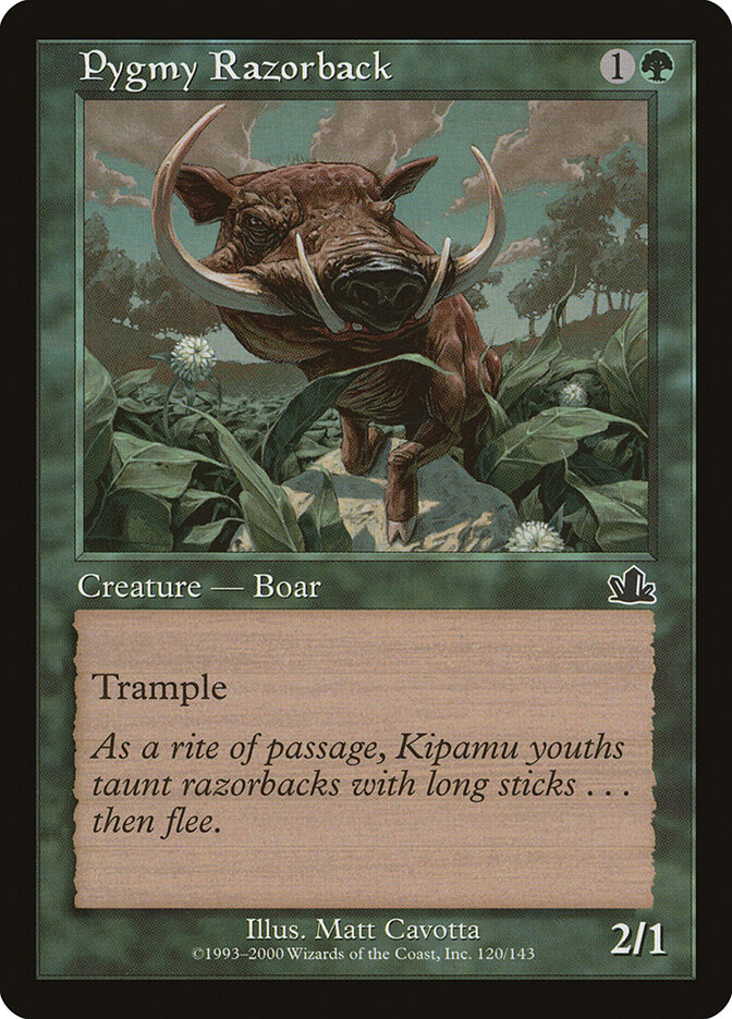 Pygmy Razorback card front