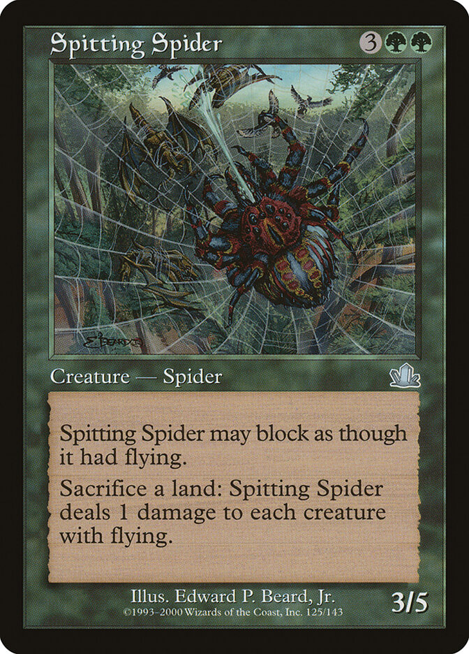 Spitting Spider card front
