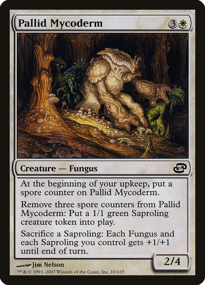 Pallid Mycoderm card front