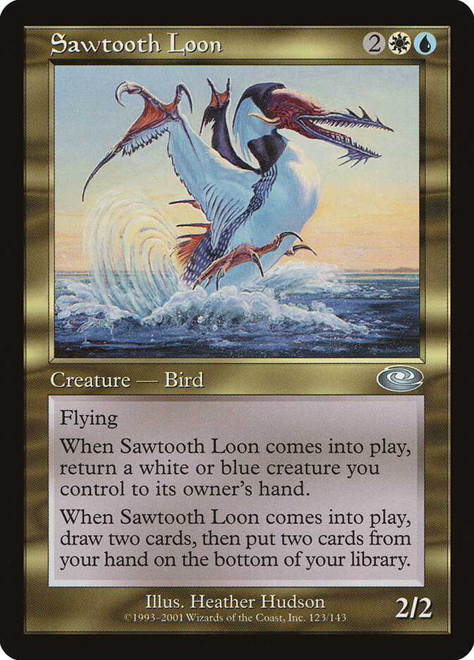 Sawtooth Loon card front
