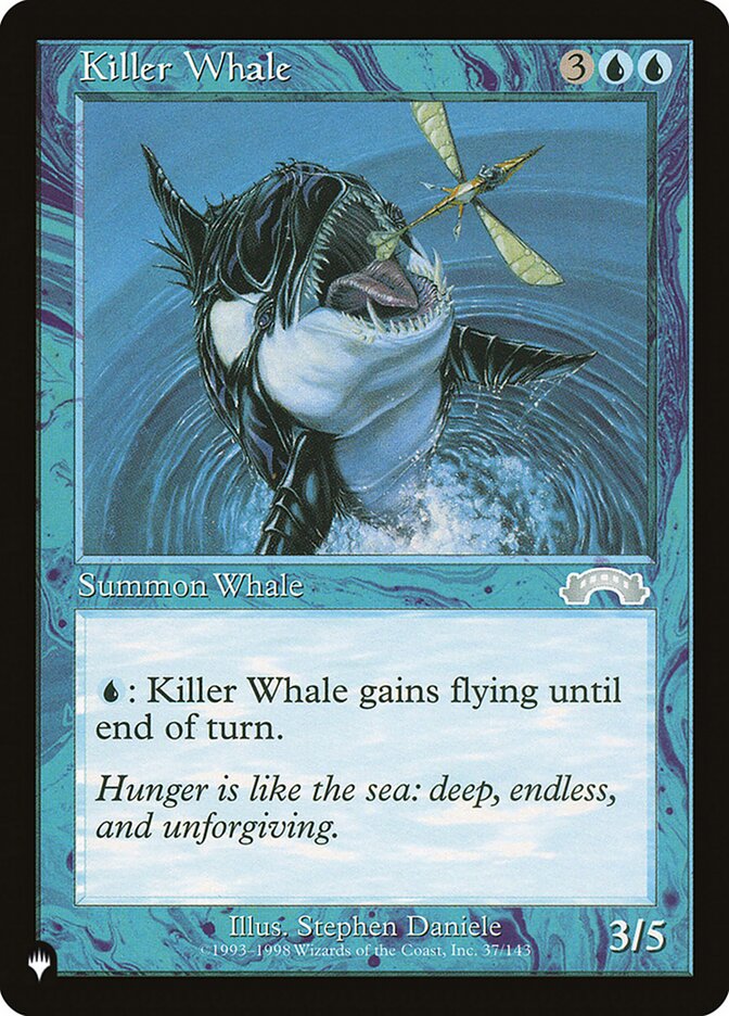 Killer Whale card front