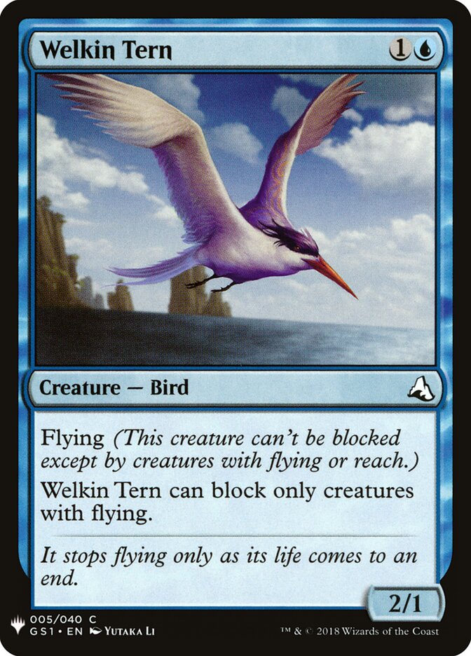 Welkin Tern card front