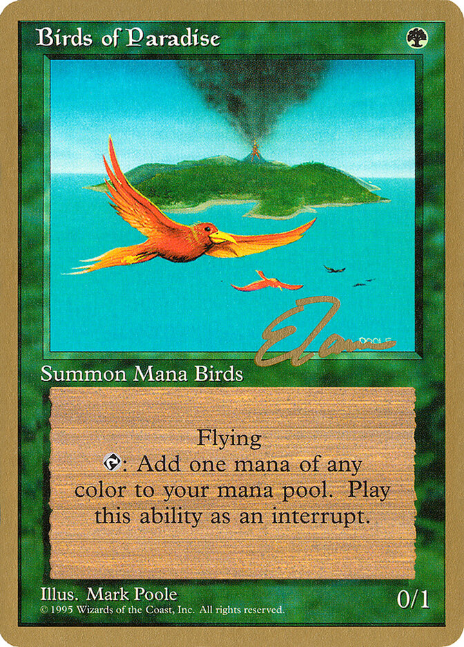 Birds of Paradise card front
