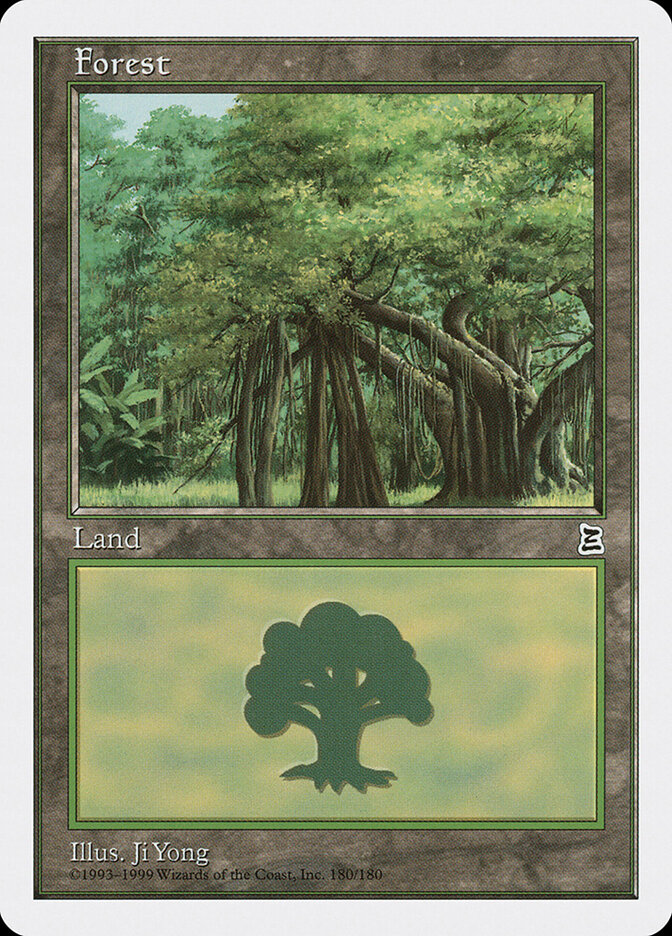 Forest card front