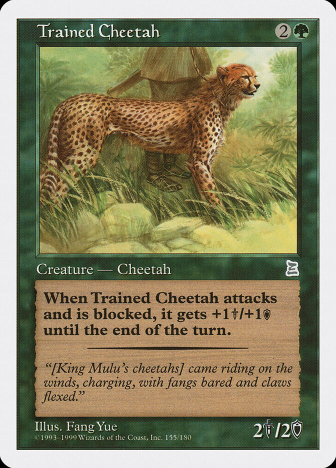 Trained Cheetah card front