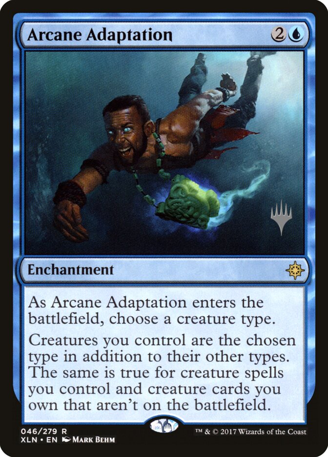 Arcane Adaptation card front