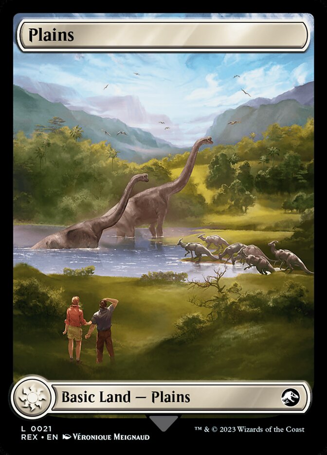 Plains card front
