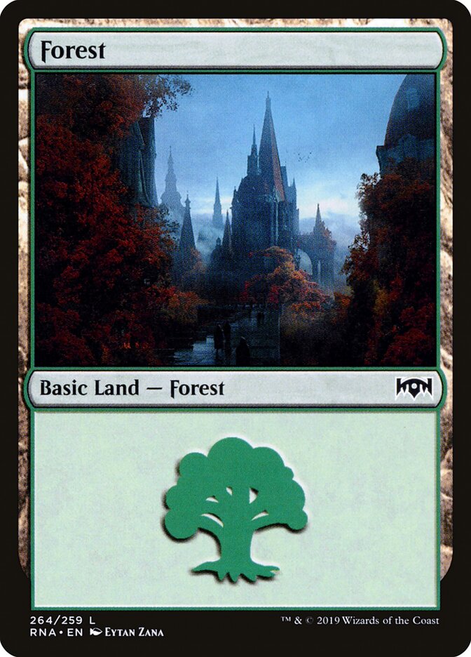 Forest card front