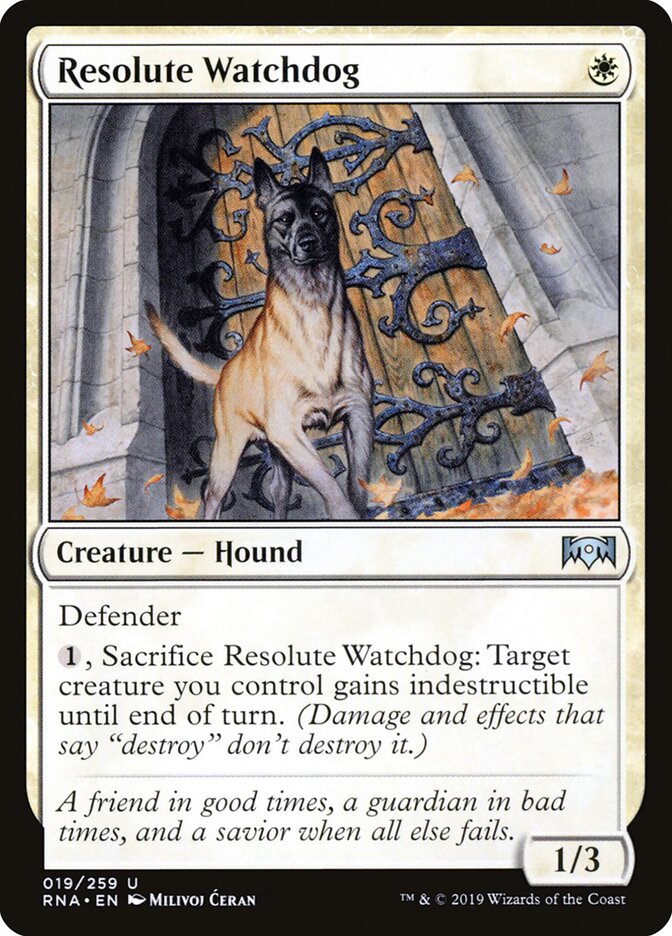 Resolute Watchdog card front