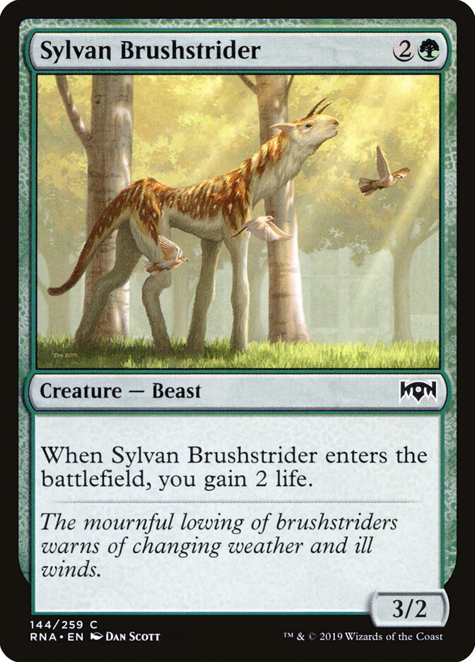 Sylvan Brushstrider card front
