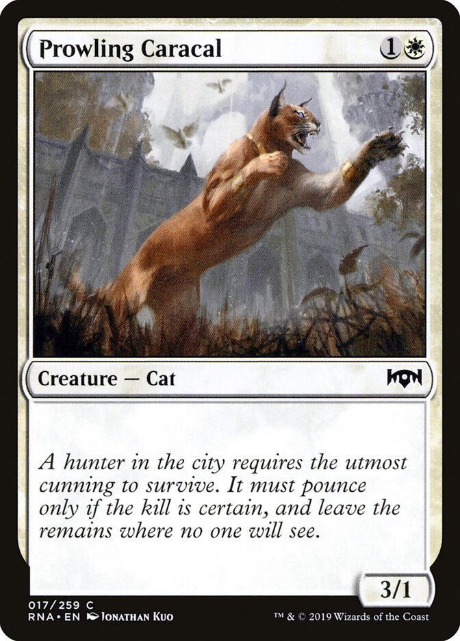 Prowling Caracal card front