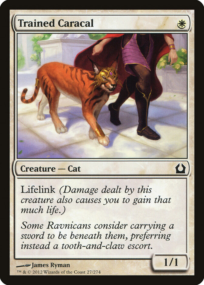 Trained Caracal card front
