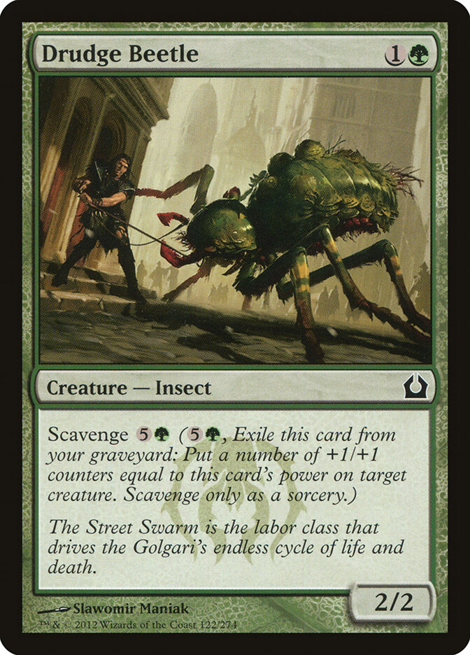 Drudge Beetle card front