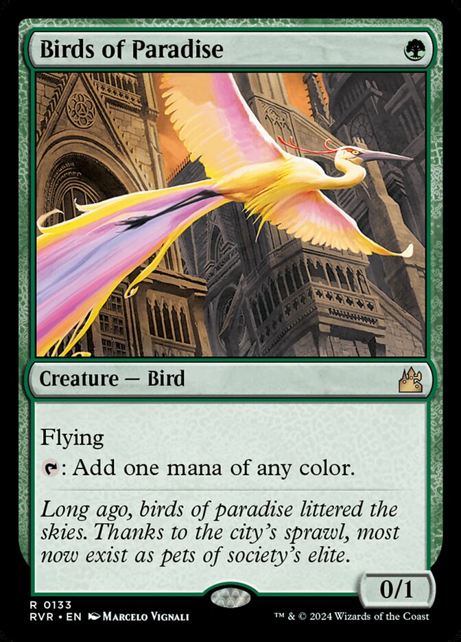 Birds of Paradise card front