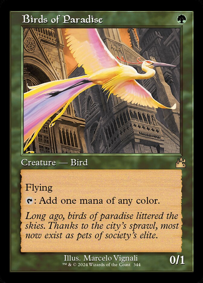 Birds of Paradise card front