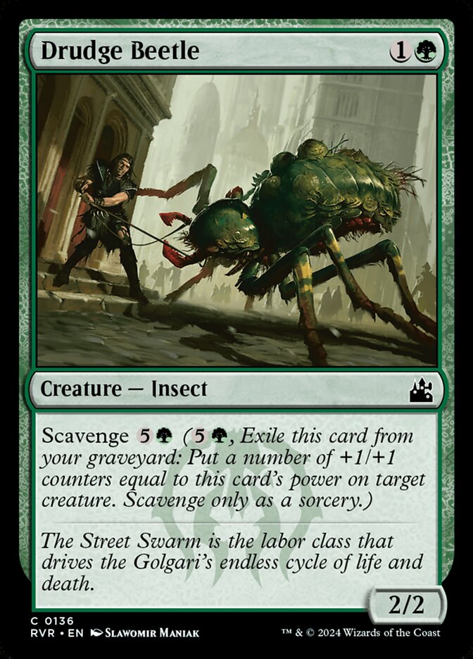 Drudge Beetle card front