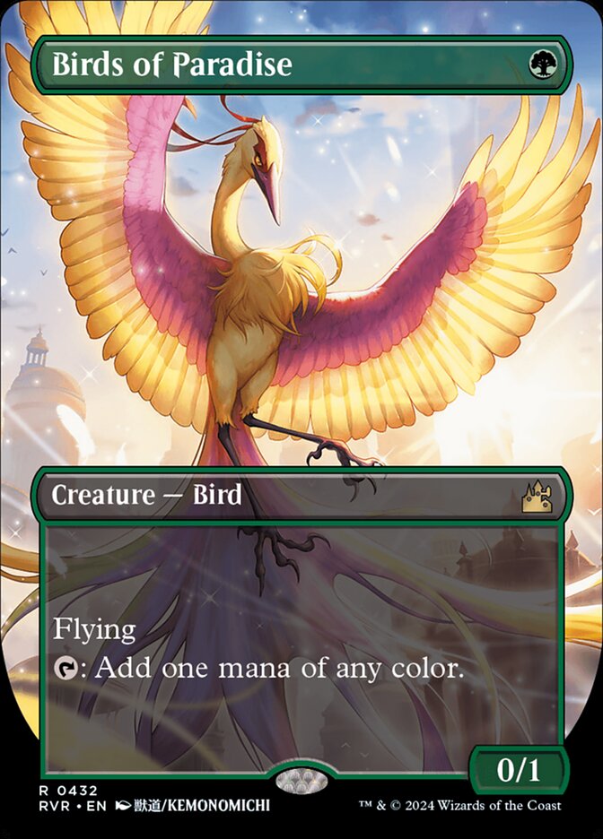 Birds of Paradise card front