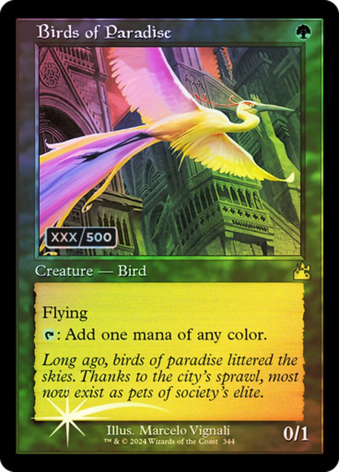 Birds of Paradise card front