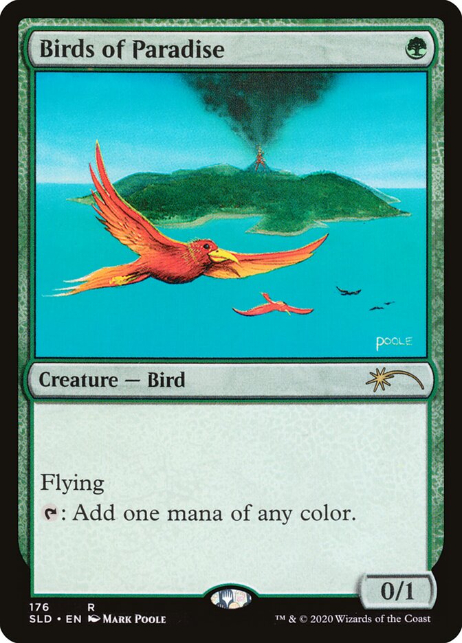 Birds of Paradise card front
