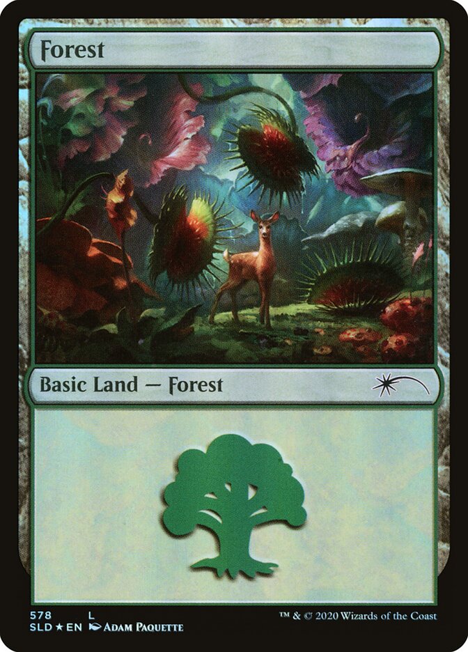 Forest card front