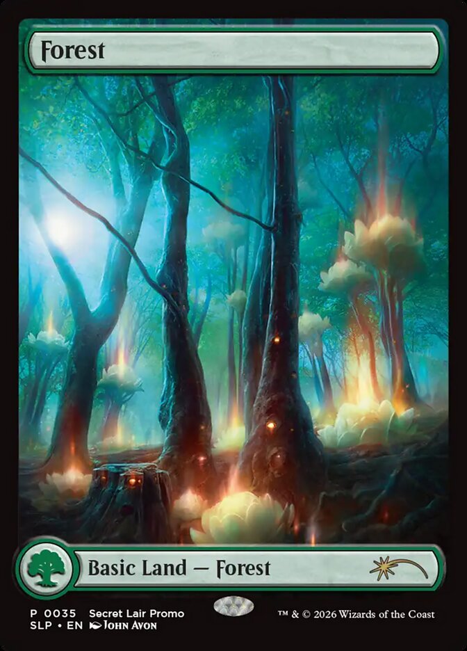 Forest card front