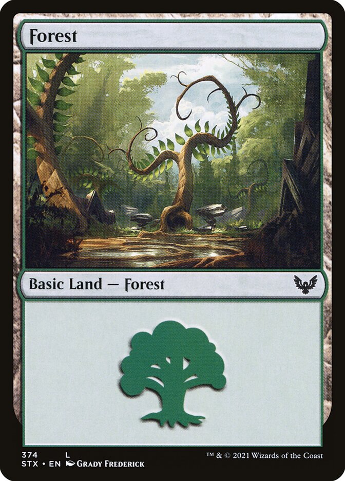 Forest card front