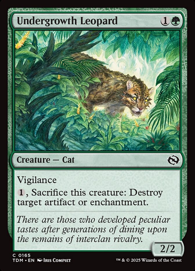 Undergrowth Leopard card front