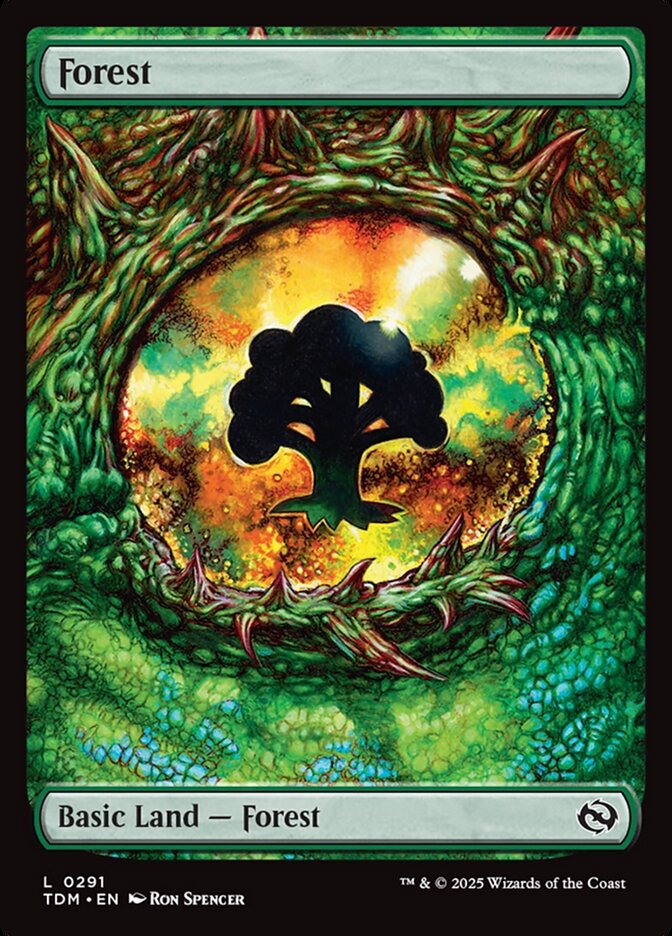 Forest card front