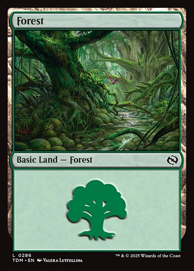 Forest card front