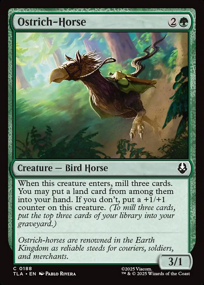 Ostrich-Horse card front