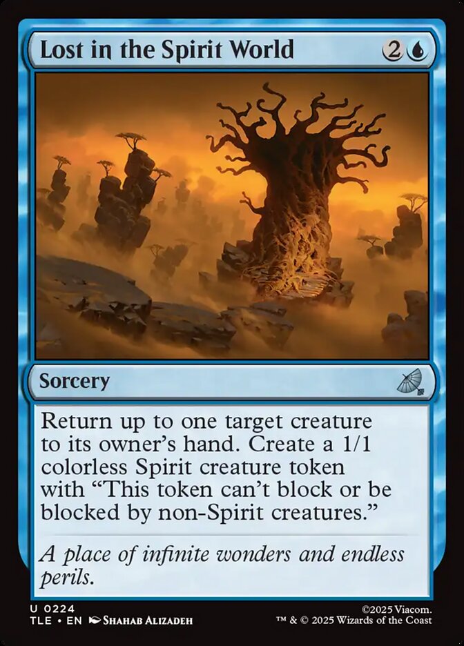 Lost in the Spirit World card front
