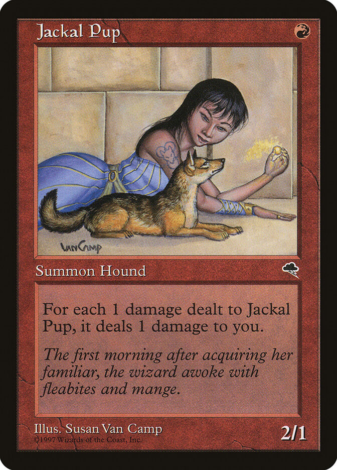 Jackal Pup card front
