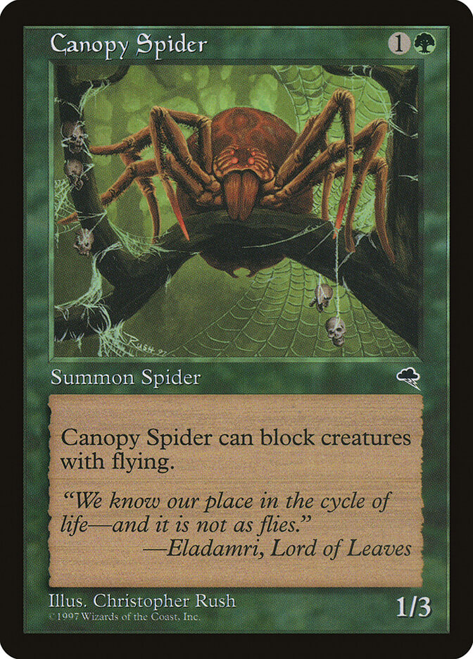 Canopy Spider card front