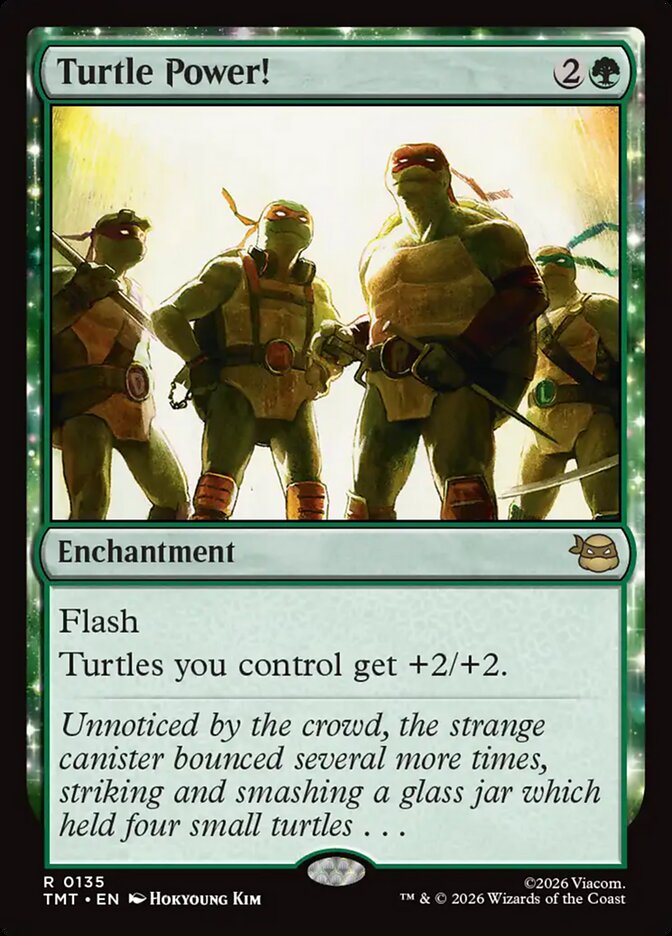 Turtle Power! card front