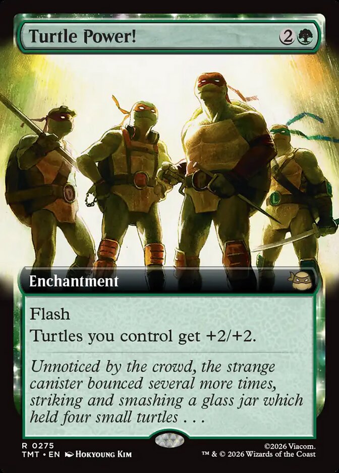 Turtle Power! card front