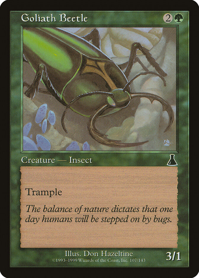 Goliath Beetle card front