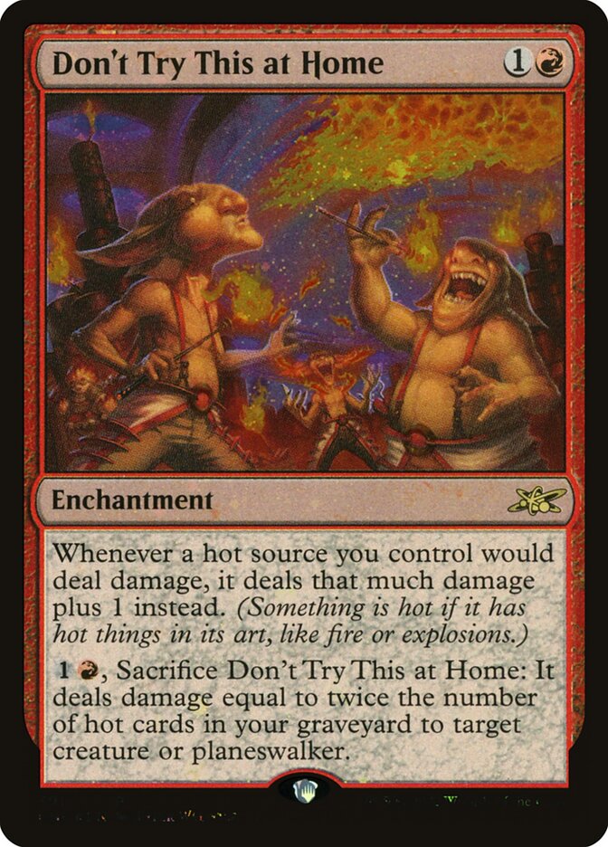 Don't Try This at Home card front
