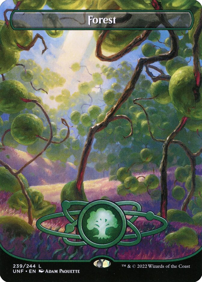 Forest card front
