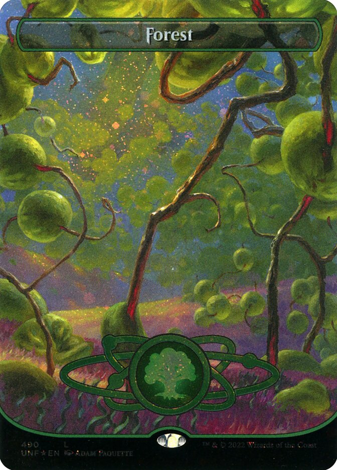 Forest card front