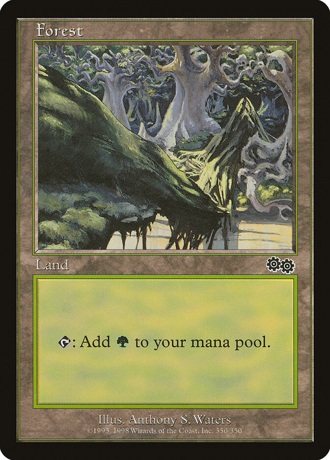 Forest card front