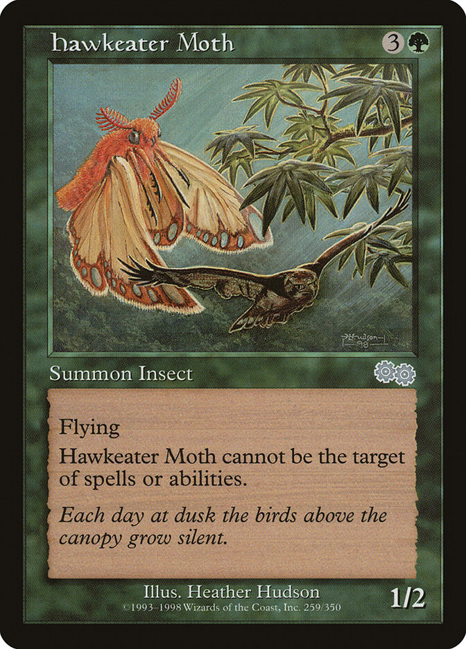 Hawkeater Moth card front