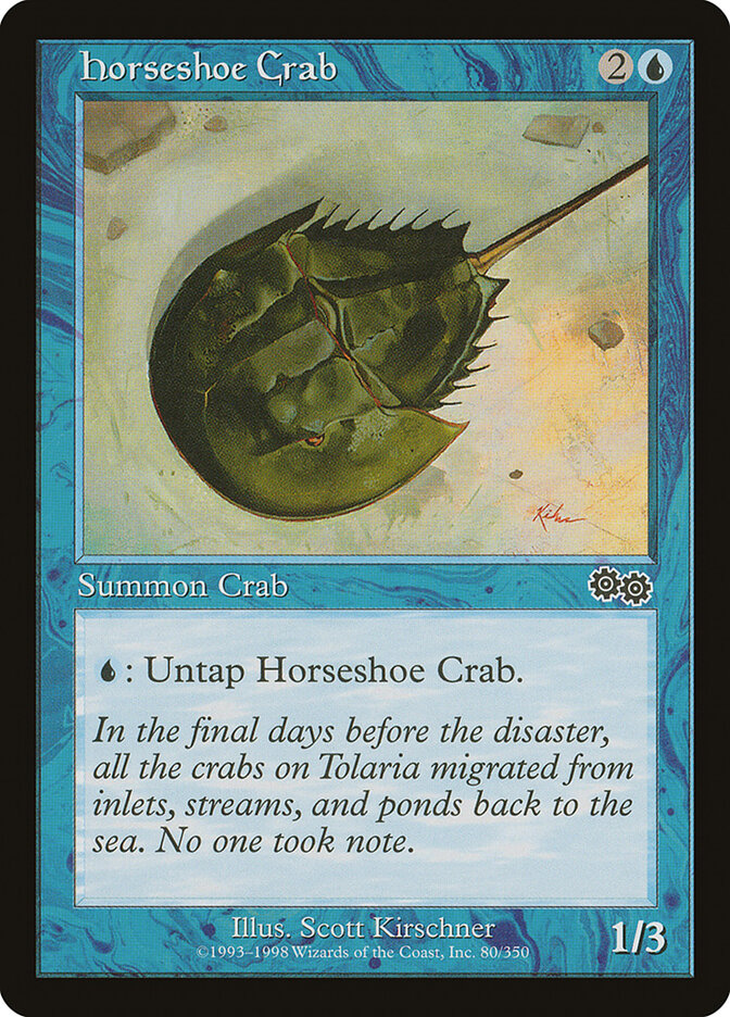 Horseshoe Crab card front